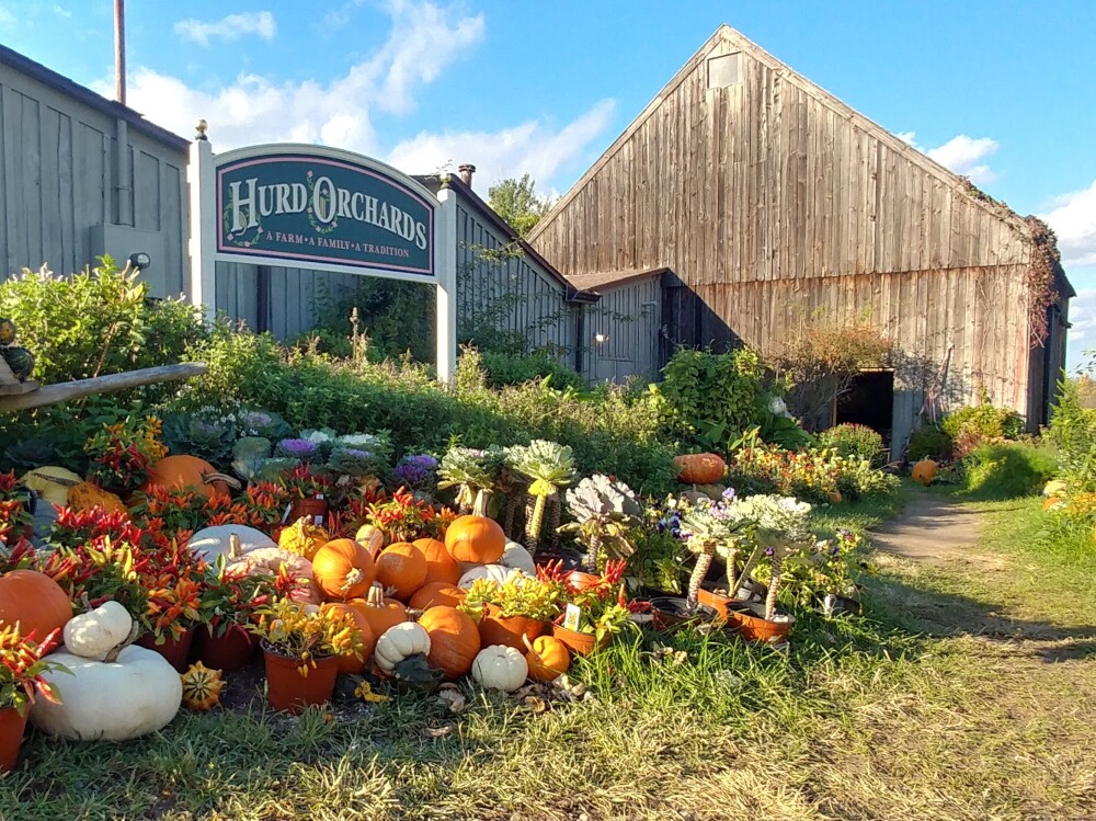 Hurd Orchards in Holley, NY